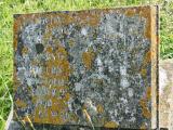 image of grave number 155732